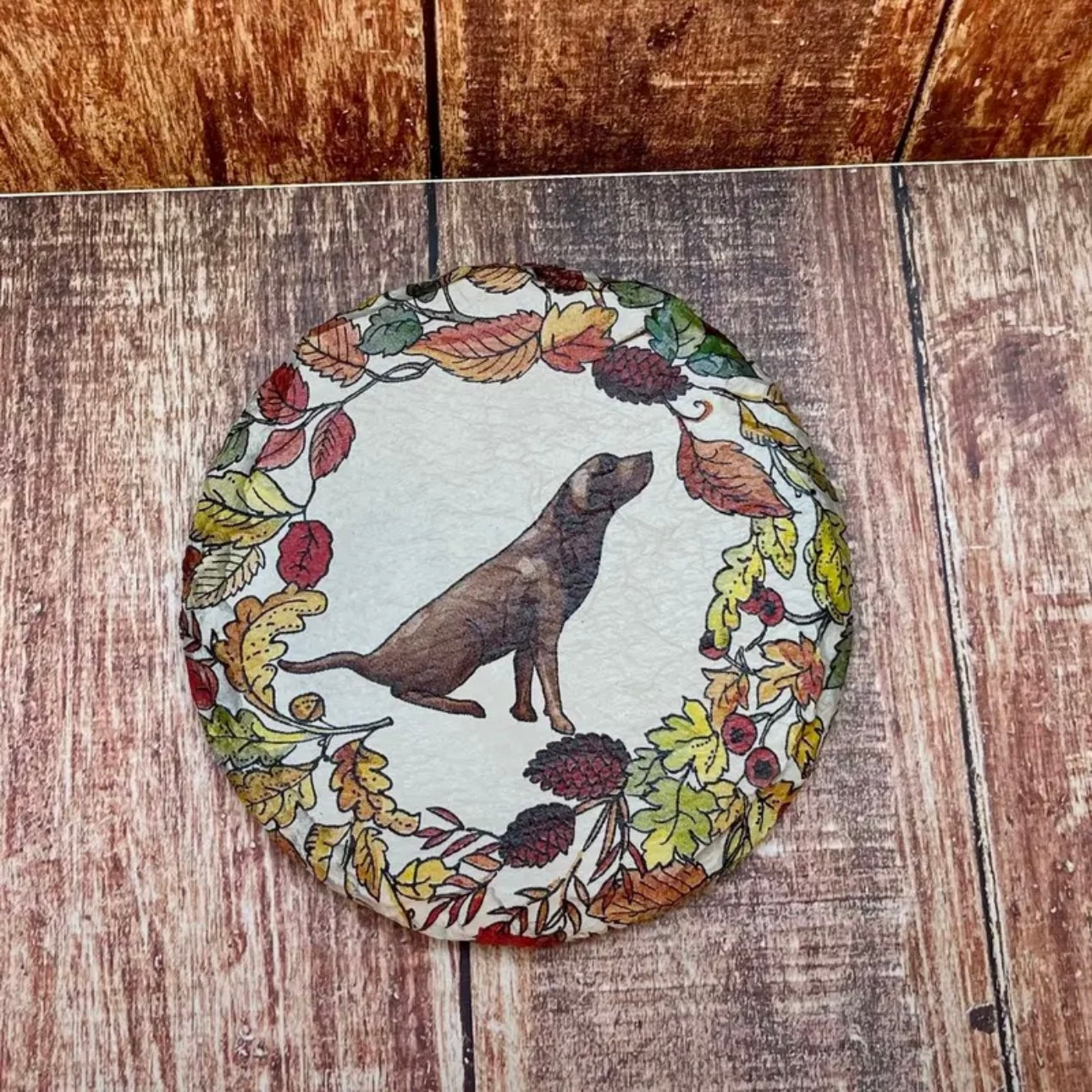 Emma Bridgewater Inspired Dog Coasters